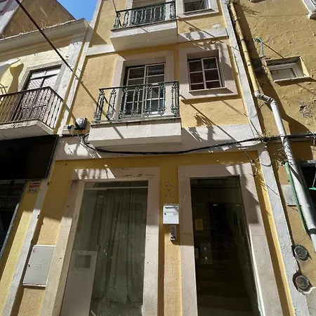 Lobos - By Y Concept * Setúbal